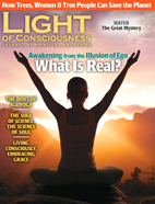 Light of Consciousness Current Issue