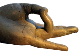 [Buddha’s hand]