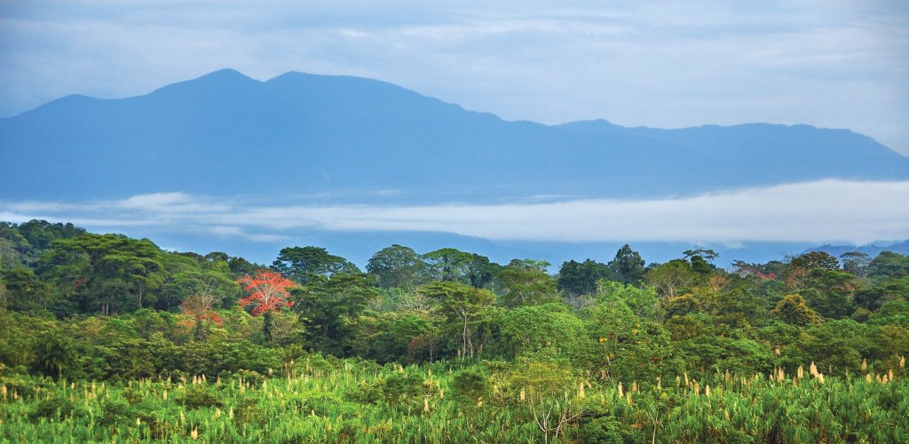 Where the Amazon meets the Andes  Shir Goldberg,
http://www.trekearth.com/members/shirgold